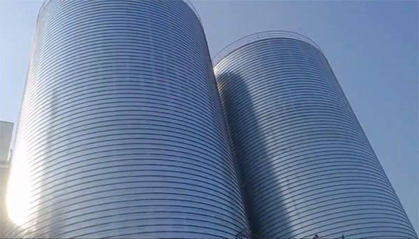 白玉2座混凝土高架卷板仓